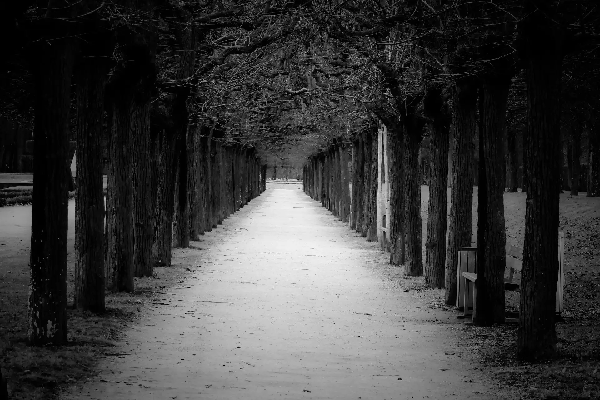 Imagen de Thomas G. en Pixabay